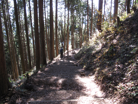 20151127hike (207)